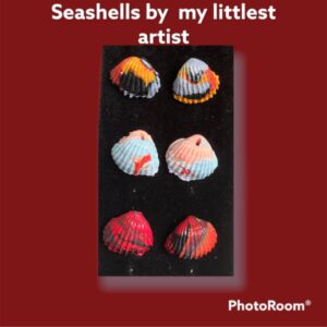Seashell Stud earrings